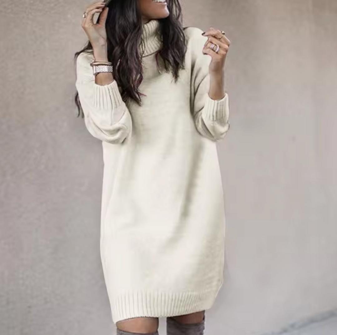 Damen Rollkragen Pulloverkleid | Langarm