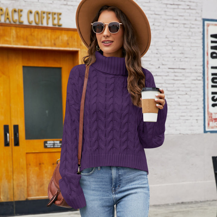 Damen Gemütlich Strickpullover | Rollkragen