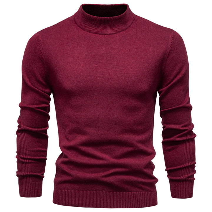 Herren Klassischer Rollkragen Pullover | Lässig